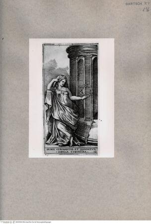 Vorderseite von  [http://creativecommons.org/publicdomain/mark/1.0/] Tiburtinische Sibylle - , bh093060. Foto.