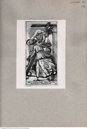 Vorderseite von  [http://creativecommons.org/publicdomain/mark/1.0/] Sibylle von Epirus - , bh093061. Foto.