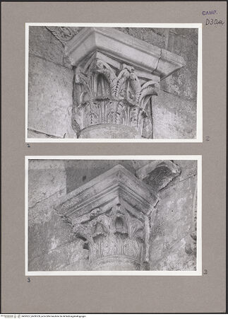 Vorderseite von Ranke [https://www.deutsche-digitale-bibliothek.de/content/lizenzen/rv-ez/] Kapitelle der Wandsäulen - Zweites Kapitell, bh093227_bh093228_recto. Foto.