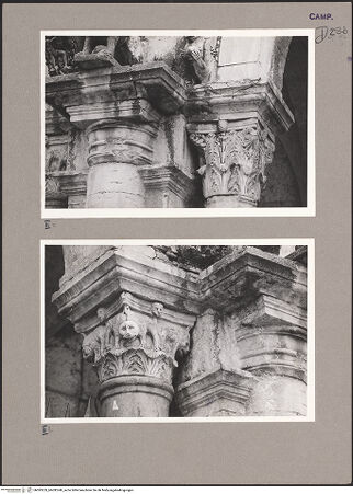 Vorderseite von Ranke [https://www.deutsche-digitale-bibliothek.de/content/lizenzen/rv-ez/] Pfeiler und KonsolenDritter Arkadenpfeiler - Detail, Kapitell rechts, bh093239_bh093240_recto. Foto.