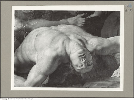 Vorderseite von bh093245_recto