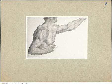 Vorderseite von bh093388_recto