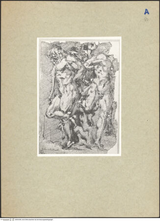 Vorderseite von bh093389_recto