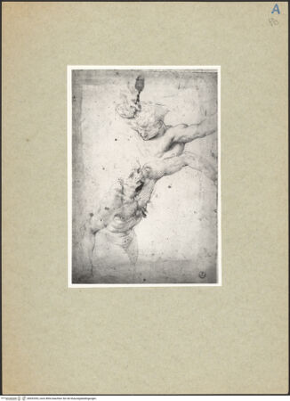 Vorderseite von bh093393_recto