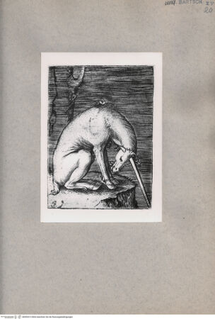 Vorderseite von  [http://creativecommons.org/publicdomain/mark/1.0/] Einhorn - , bh093413. Foto.