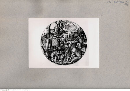 Vorderseite von  [http://creativecommons.org/publicdomain/mark/1.0/] Tiere - , bh093427. Foto.