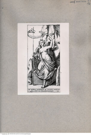 Vorderseite von  [http://creativecommons.org/publicdomain/mark/1.0/] Kolophonische Sibylle - , bh093483. Foto.