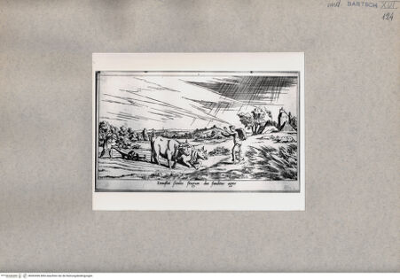 Vorderseite von  [http://creativecommons.org/publicdomain/mark/1.0/] Deuastat Siculos frugum dea funditus agros - , bh093496. Foto.