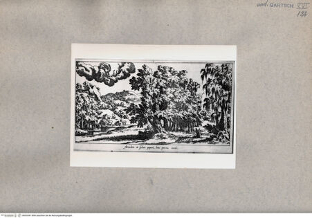 Vorderseite von  [http://creativecommons.org/publicdomain/mark/1.0/] Arcadem in Syluis peperit, hinc percita Iuno - , bh093497. Foto.