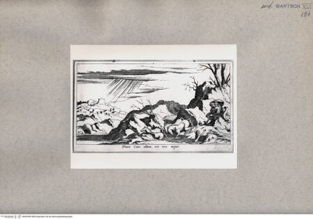 Vorderseite von  [http://creativecommons.org/publicdomain/mark/1.0/] Plutoni Cianes aditum, non terra negauit - , bh093499. Foto.