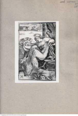 Vorderseite von  [http://creativecommons.org/publicdomain/mark/1.0/] Leda und der Schwan - , bh093503. Foto.