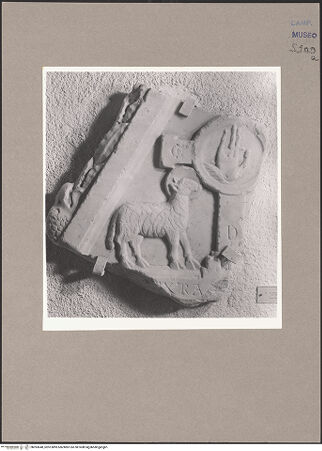 Vorderseite von Sopr. BAS NA [https://www.deutsche-digitale-bibliothek.de/content/lizenzen/rv-ez/] Fragment einer Kathedra (?) - Gesamtansicht, bh093648_recto. Foto.