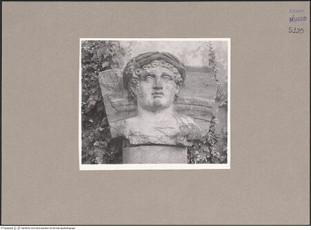 Vorderseite von Sopr. BAS NA [https://www.deutsche-digitale-bibliothek.de/content/lizenzen/rv-ez/] Kopf des Flußgottes Volturno - Frontalansicht, bh093652_recto. Foto.