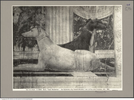 Vorderseite von bh093654_recto