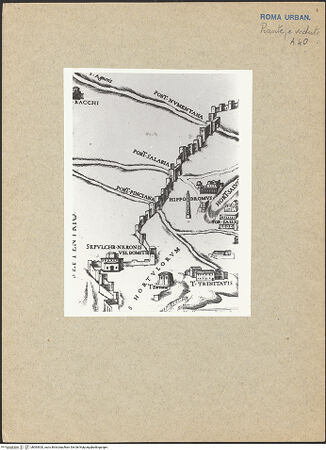 Vorderseite von bh093920_recto