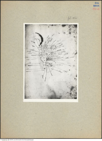 Vorderseite von bh093947_recto