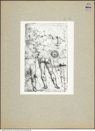 Vorderseite von bh093961_recto