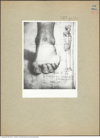 Vorderseite von bh093971-1_bh093971-2_recto