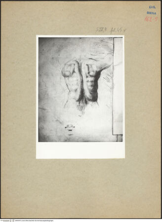 Vorderseite von bh093973_recto