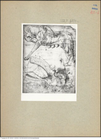 Vorderseite von bh094003-1_bh094003-2_recto