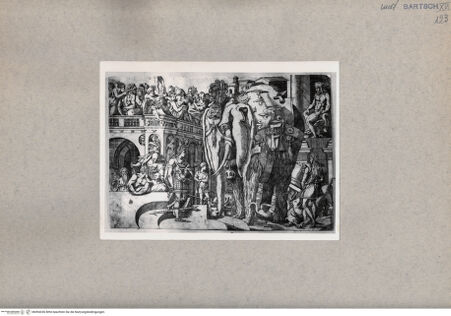 Vorderseite von  [http://creativecommons.org/publicdomain/mark/1.0/] Kriegselefant - , bh094336. Foto.