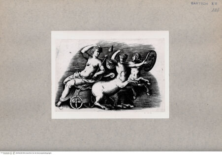 Vorderseite von  [http://creativecommons.org/publicdomain/mark/1.0/] Ariadne - , bh094348. Foto.