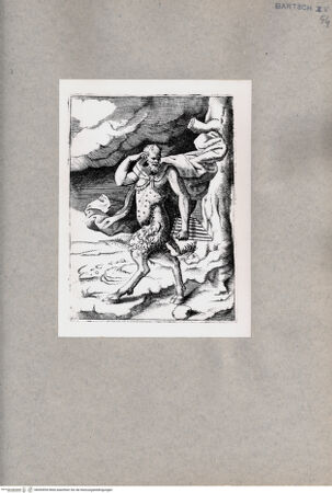 Vorderseite von  [http://creativecommons.org/publicdomain/mark/1.0/] Pan - , bh094594. Foto.