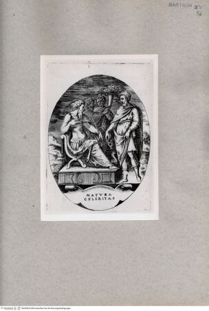 Vorderseite von  [http://creativecommons.org/publicdomain/mark/1.0/] Matura Celeritas - , bh094629. Foto.