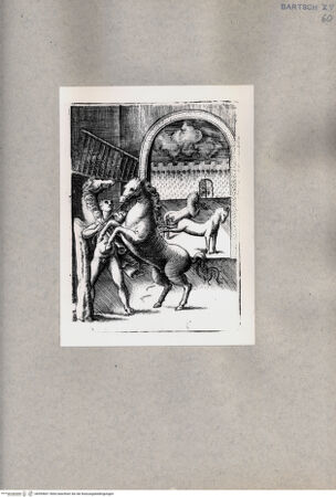 Vorderseite von  [http://creativecommons.org/publicdomain/mark/1.0/] Pferde in einem Hof - , bh094661. Foto.