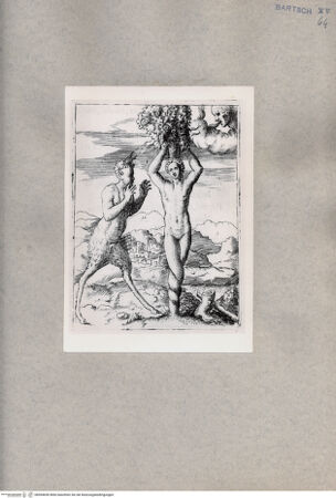 Vorderseite von  [http://creativecommons.org/publicdomain/mark/1.0/] Pitys wird in eine Kiefer verwandelt - , bh094690. Foto.