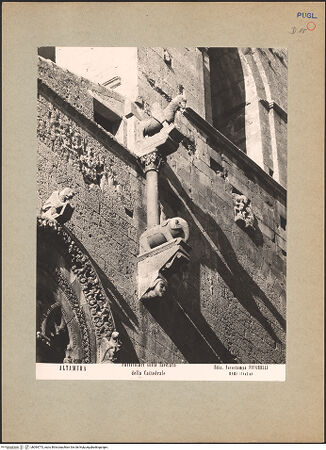 Vorderseite von bh094773_recto