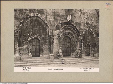 Vorderseite von bh094796_recto