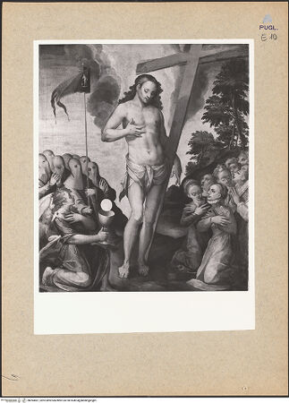 Vorderseite von bh094887_recto