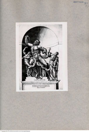 Vorderseite von  [http://creativecommons.org/publicdomain/mark/1.0/] Laokoon - , bh094982. Foto.