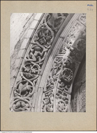 Vorderseite von Ficarelli, Bari [https://www.deutsche-digitale-bibliothek.de/content/lizenzen/rv-ez/] HauptportalArchivolten mit Tieren und fantastischen Kreaturen - Linke Seite, Detail, bh095264_recto. Foto: Ficarelli, Michele.