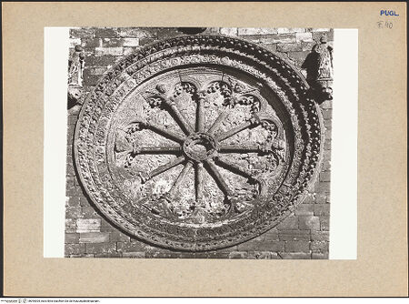 Vorderseite von bh095305_recto