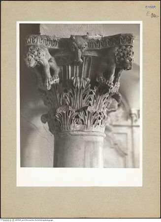 Vorderseite von Bibliotheca Hertziana [https://www.deutsche-digitale-bibliothek.de/content/lizenzen/rv-fz/] Kapitell mit Löwen - , bh095441_recto. Foto.