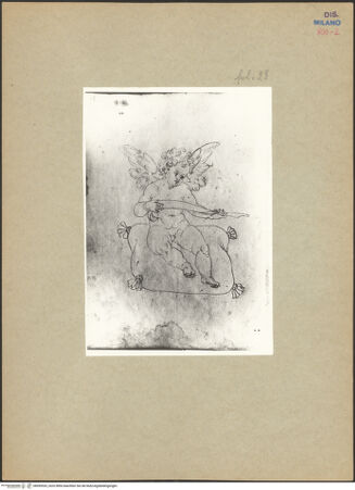 Vorderseite von bh095535_recto