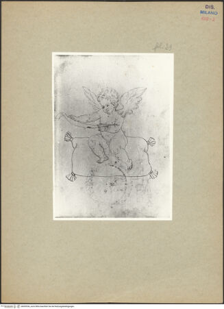 Vorderseite von bh095536_recto