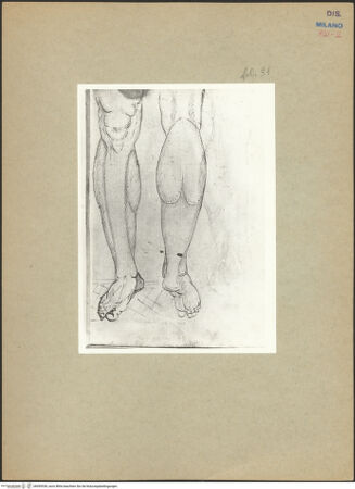 Vorderseite von bh095538_recto