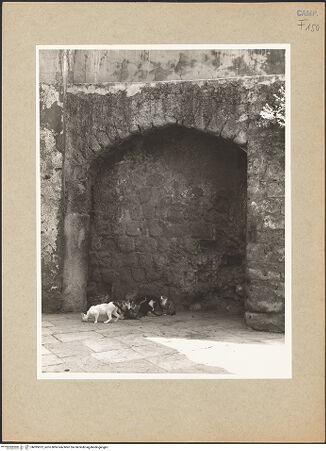 Vorderseite von Hutzel, Max [https://www.deutsche-digitale-bibliothek.de/content/lizenzen/rv-ez/] Santi Rufo e Carponio - Außenwand, bh095813_recto. Foto: Hutzel, Max.