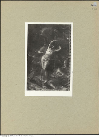 Vorderseite von bh095911_recto