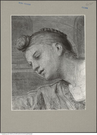 Vorderseite von bh096053_recto