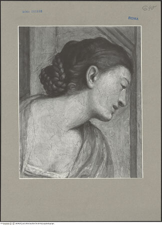 Vorderseite von bh096242_recto