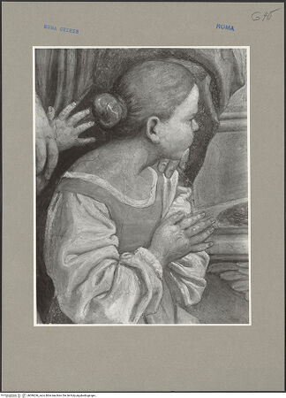 Vorderseite von bh096246_recto