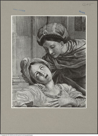 Vorderseite von bh096249_recto