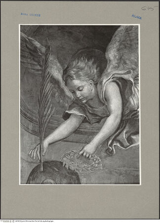 Vorderseite von bh096254_recto