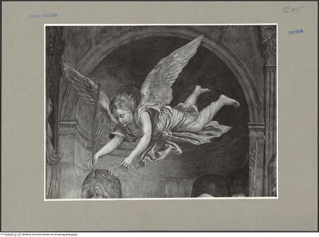 Vorderseite von bh096255_recto