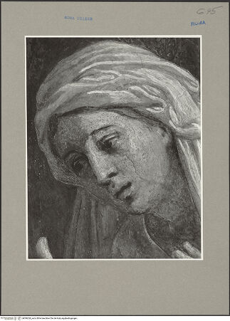 Vorderseite von bh096260_recto