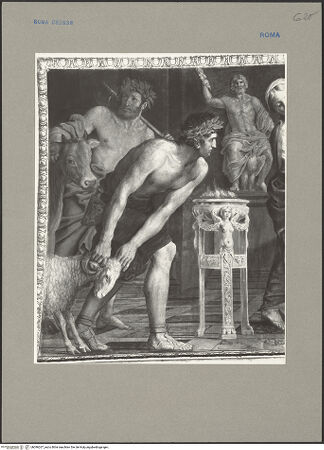 Vorderseite von bh096267_recto